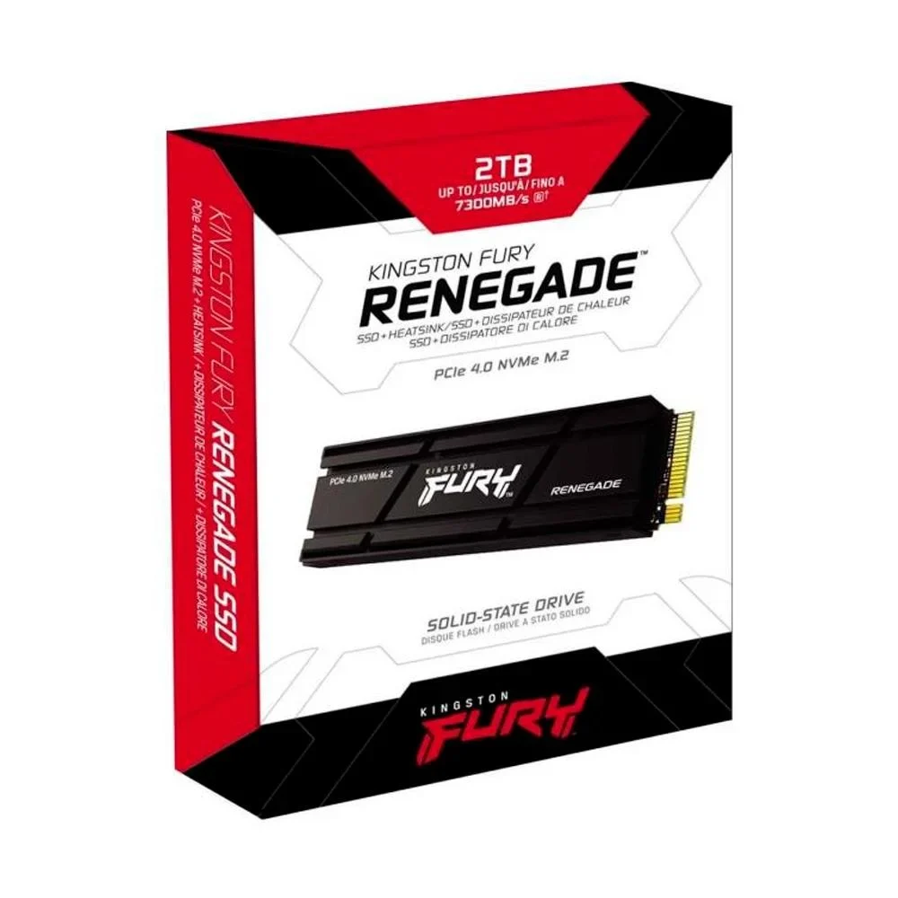 DISCO DURO 2000G RENEGADE PCIE 4.0 NVME SSD W/ HEA